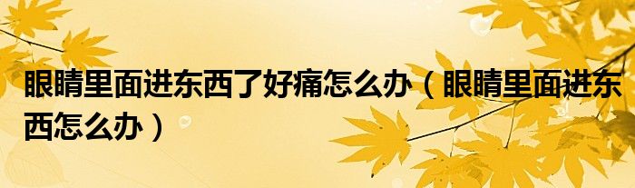 眼睛里面進(jìn)東西了好痛怎么辦（眼睛里面進(jìn)東西怎么辦）