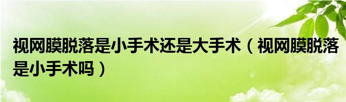 視網(wǎng)膜脫落是小手術(shù)還是大手術(shù)（視網(wǎng)膜脫落是小手術(shù)嗎）