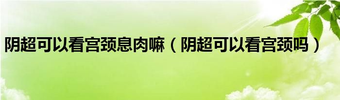 陰超可以看宮頸息肉嘛（陰超可以看宮頸嗎）