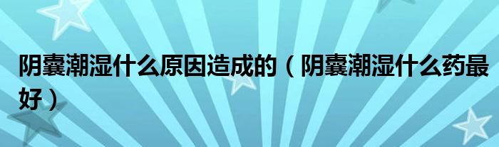 陰囊潮濕什么原因造成的（陰囊潮濕什么藥最好）