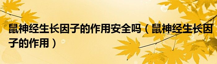 鼠神經(jīng)生長因子的作用安全嗎（鼠神經(jīng)生長因子的作用）