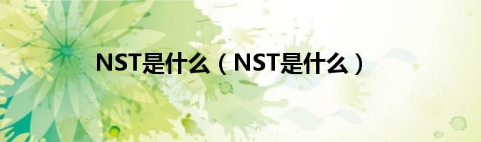 NST是什么（NST是什么）