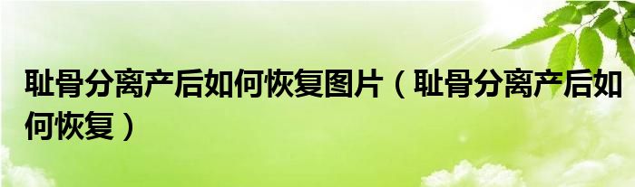 恥骨分離產(chǎn)后如何恢復(fù)圖片（恥骨分離產(chǎn)后如何恢復(fù)）