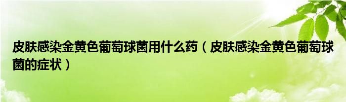 皮膚感染金黃色葡萄球菌用什么藥（皮膚感染金黃色葡萄球菌的癥狀）