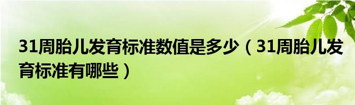 31周胎兒發(fā)育標準數(shù)值是多少（31周胎兒發(fā)育標準有哪些）