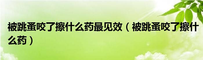 被跳蚤咬了擦什么藥最見效（被跳蚤咬了擦什么藥）