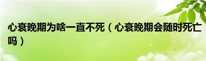 心衰晚期為啥一直不死（心衰晚期會(huì)隨時(shí)死亡嗎）