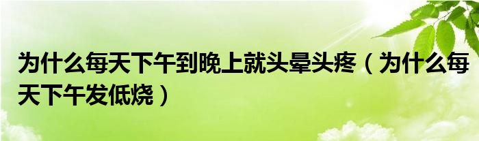 為什么每天下午到晚上就頭暈頭疼（為什么每天下午發(fā)低燒）