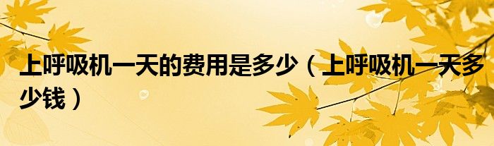 上呼吸機(jī)一天的費(fèi)用是多少（上呼吸機(jī)一天多少錢）