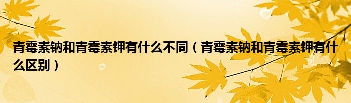 青霉素鈉和青霉素鉀有什么不同（青霉素鈉和青霉素鉀有什么區(qū)別）