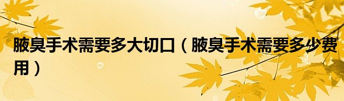 腋臭手術需要多大切口（腋臭手術需要多少費用）