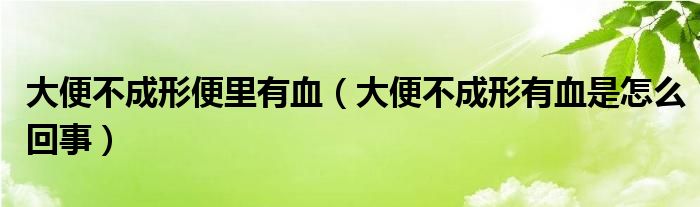 大便不成形便里有血（大便不成形有血是怎么回事）