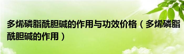 多烯磷脂酰膽堿的作用與功效價(jià)格（多烯磷脂酰膽堿的作用）