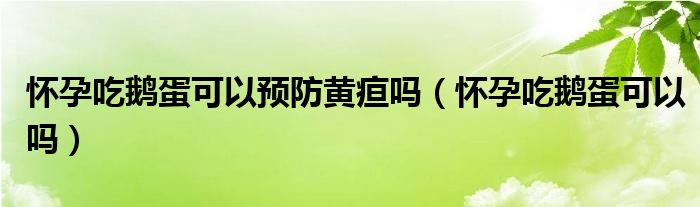 懷孕吃鵝蛋可以預(yù)防黃疸嗎（懷孕吃鵝蛋可以嗎）