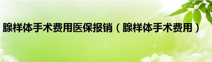 腺樣體手術(shù)費(fèi)用醫(yī)保報(bào)銷（腺樣體手術(shù)費(fèi)用）