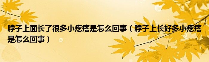 脖子上面長了很多小疙瘩是怎么回事（脖子上長好多小疙瘩是怎么回事）