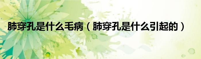 肺穿孔是什么毛?。ǚ未┛资鞘裁匆鸬模?class='thumb lazy' /></a>
		    <header>
		<h2><a  href=