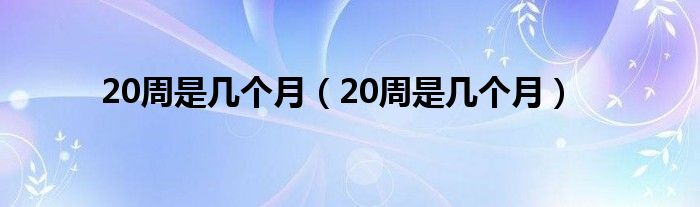 20周是幾個月（20周是幾個月）