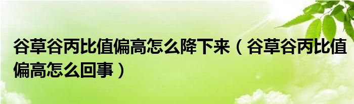 谷草谷丙比值偏高怎么降下來（谷草谷丙比值偏高怎么回事）