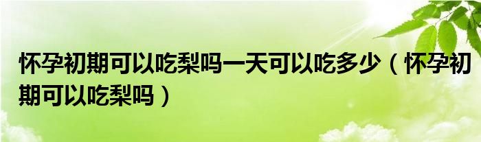 懷孕初期可以吃梨嗎一天可以吃多少（懷孕初期可以吃梨嗎）