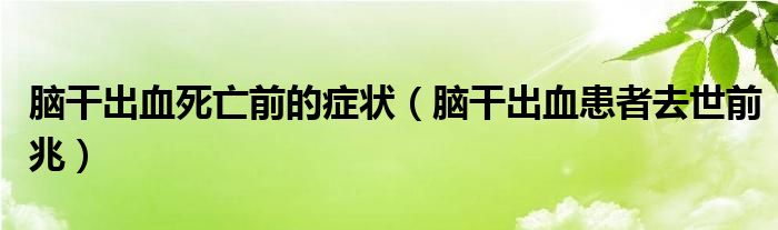 腦干出血死亡前的癥狀（腦干出血患者去世前兆）