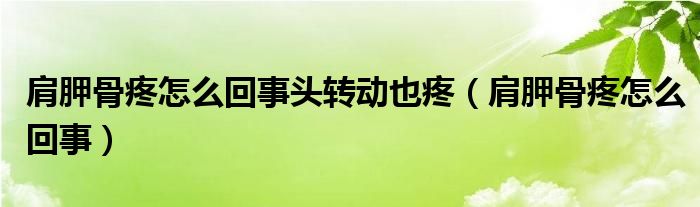 肩胛骨疼怎么回事頭轉(zhuǎn)動(dòng)也疼（肩胛骨疼怎么回事）