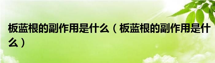 板藍(lán)根的副作用是什么（板藍(lán)根的副作用是什么）