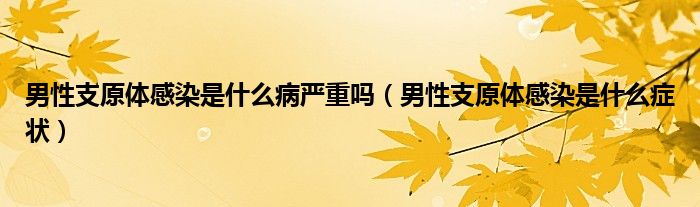 男性支原體感染是什么病嚴(yán)重嗎（男性支原體感染是什么癥狀）