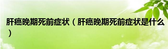 肝癌晚期死前癥狀（肝癌晚期死前癥狀是什么）