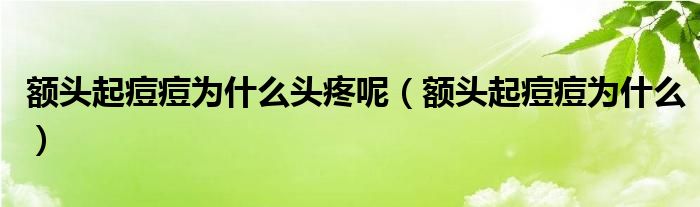 額頭起痘痘為什么頭疼呢（額頭起痘痘為什么）