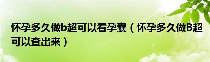 懷孕多久做b超可以看孕囊（懷孕多久做B超可以查出來）