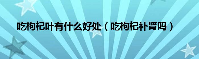 吃枸杞葉有什么好處（吃枸杞補(bǔ)腎嗎）