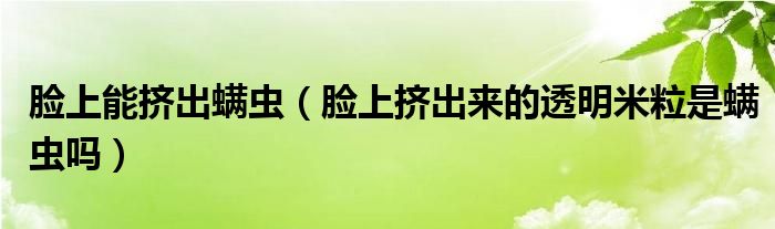 臉上能擠出螨蟲（臉上擠出來的透明米粒是螨蟲嗎）