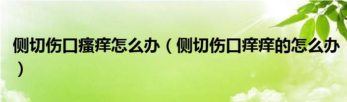 側(cè)切傷口瘙癢怎么辦（側(cè)切傷口癢癢的怎么辦）