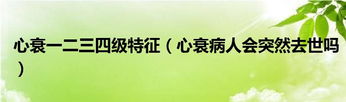 心衰一二三四級(jí)特征（心衰病人會(huì)突然去世嗎）