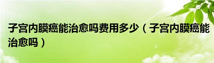 子宮內(nèi)膜癌能治愈嗎費(fèi)用多少（子宮內(nèi)膜癌能治愈嗎）