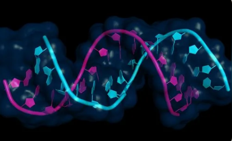 檢測病毒 RNA 的創(chuàng)新方法