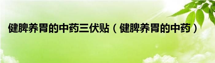 健脾養(yǎng)胃的中藥三伏貼（健脾養(yǎng)胃的中藥）