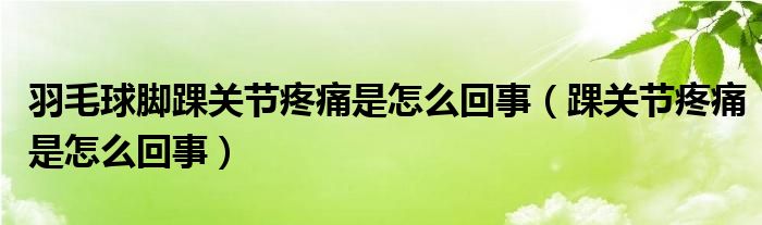 羽毛球腳踝關節(jié)疼痛是怎么回事（踝關節(jié)疼痛是怎么回事）