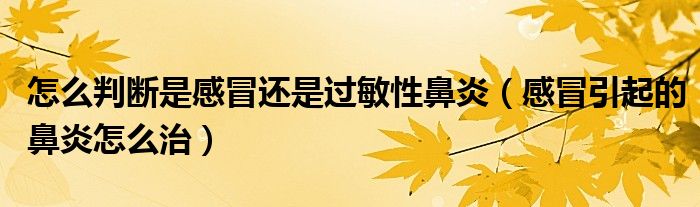 怎么判斷是感冒還是過敏性鼻炎（感冒引起的鼻炎怎么治）