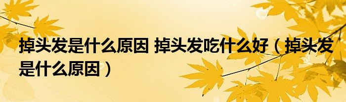 掉頭發(fā)是什么原因 掉頭發(fā)吃什么好（掉頭發(fā)是什么原因）