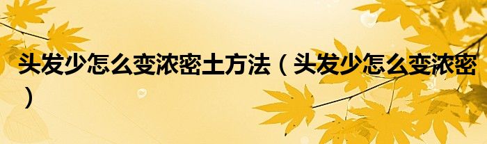 頭發(fā)少怎么變濃密土方法（頭發(fā)少怎么變濃密）