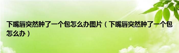 下嘴唇突然腫了一個包怎么辦圖片（下嘴唇突然腫了一個包怎么辦）