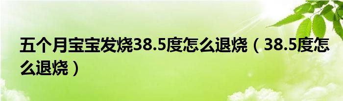 五個月寶寶發(fā)燒38.5度怎么退燒（38.5度怎么退燒）