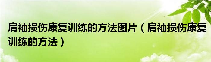 肩袖損傷康復(fù)訓(xùn)練的方法圖片（肩袖損傷康復(fù)訓(xùn)練的方法）