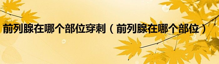 前列腺在哪個(gè)部位穿刺（前列腺在哪個(gè)部位）