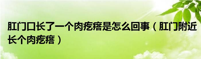 肛門口長了一個(gè)肉疙瘩是怎么回事（肛門附近長個(gè)肉疙瘩）