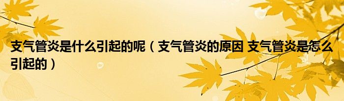 支氣管炎是什么引起的呢（支氣管炎的原因 支氣管炎是怎么引起的）