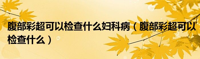 腹部彩超可以檢查什么婦科?。ǜ共坎食梢詸z查什么）