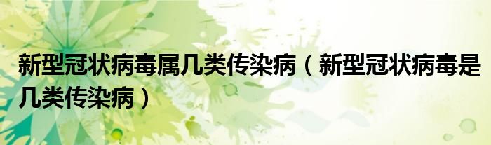 新型冠狀病毒屬幾類(lèi)傳染?。ㄐ滦凸跔畈《臼菐最?lèi)傳染病）